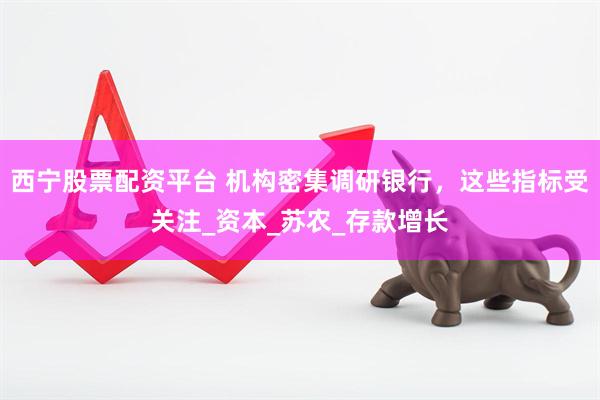 西宁股票配资平台 机构密集调研银行,这些指标受关注_资本_苏农_存款增长
