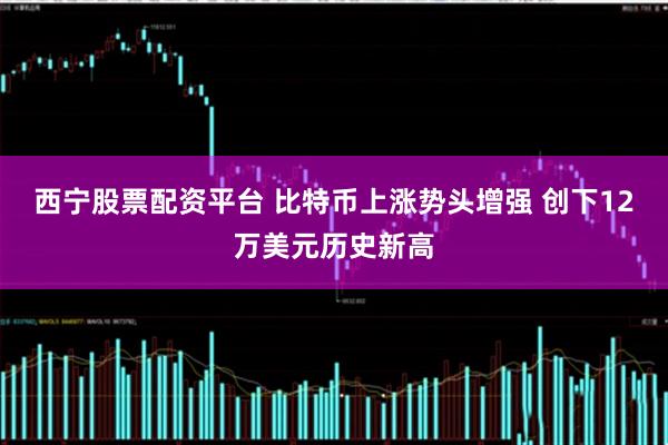 西宁股票配资平台 比特币上涨势头增强 创下12万美元历史新高