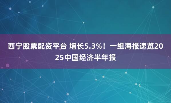 西宁股票配资平台 增长5.3%!一组海报速览2025中国经济半年报